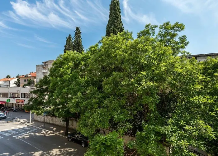 Apartments Cezar